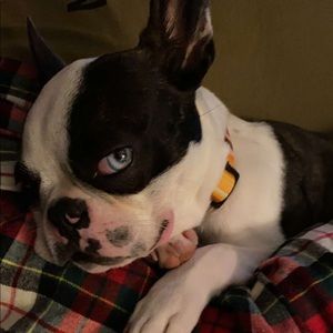 Meet your Posher, Elizabeth